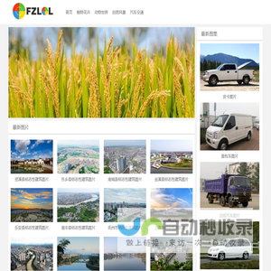 工程建设项目审批管理
