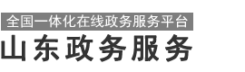 山东政务服务网 青岛市•高新区